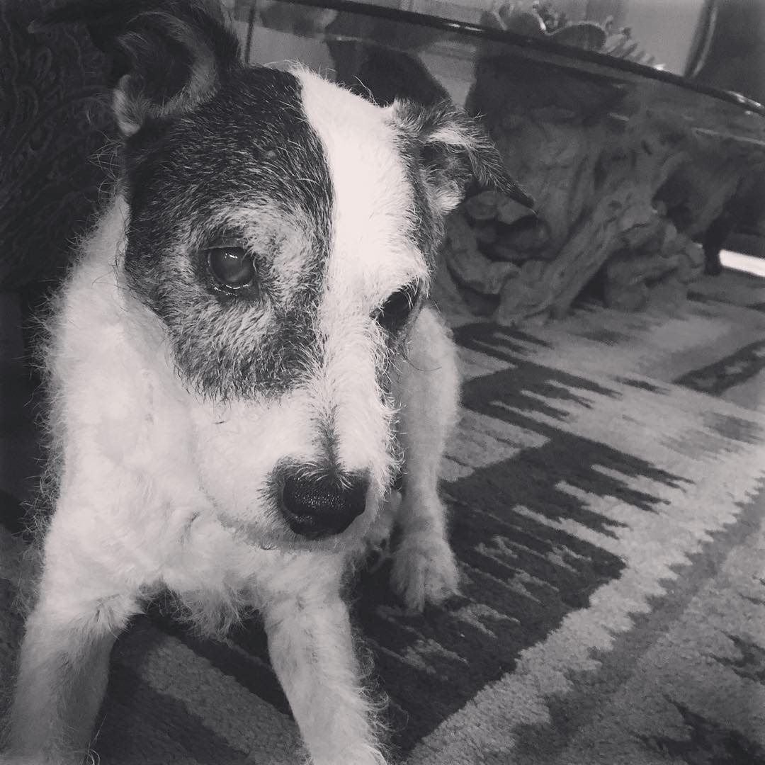 40178287_10217223762535726_2810893079748280320_o